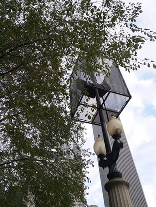 Lamp Post on Michigan Ave.